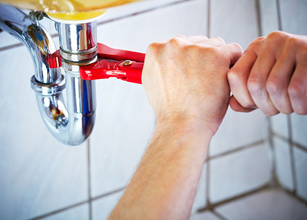About White Plumbers